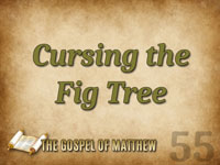 Pastor John S. Torell - sermon on CURSING THE FIG TREE - Resurrection Life of Jesus Church